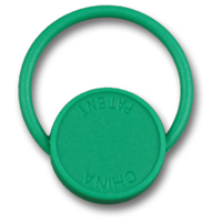 Plastic loop keychain 